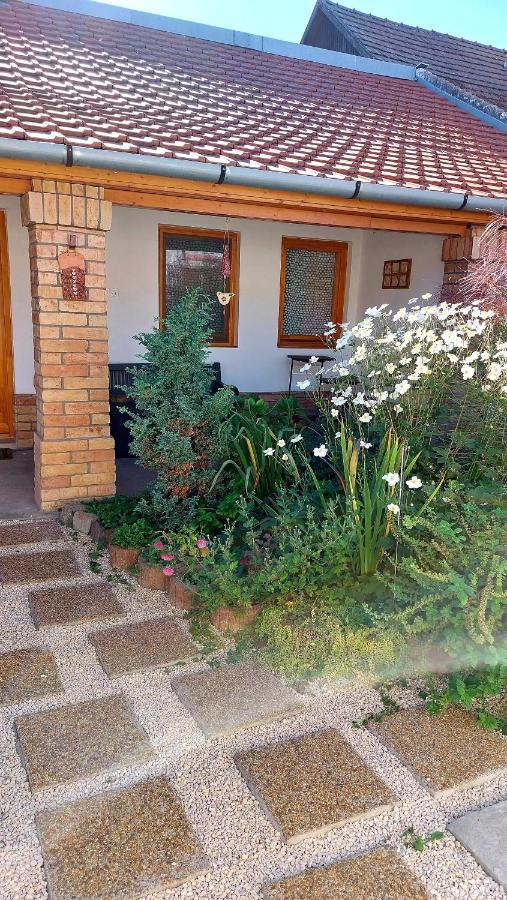 Mandula Apartman Сегед Екстериор снимка